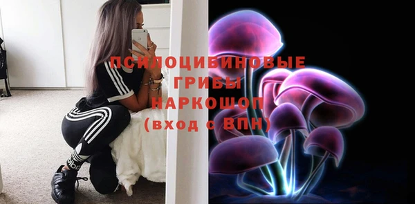 2c-b Михайловск