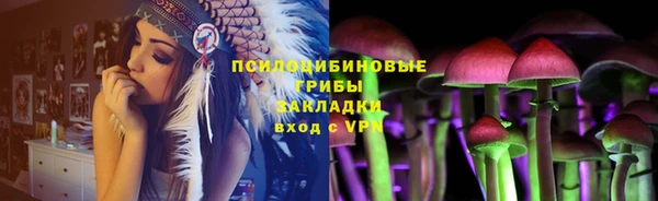 мяу мяу мука Михайлов