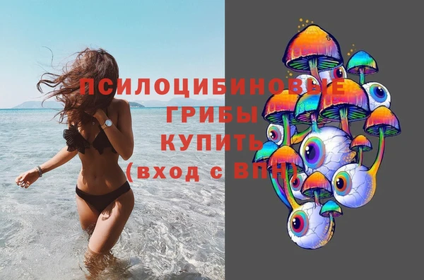 2c-b Михайловск