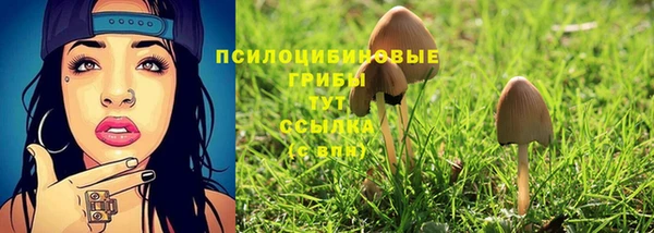 2c-b Михайловск
