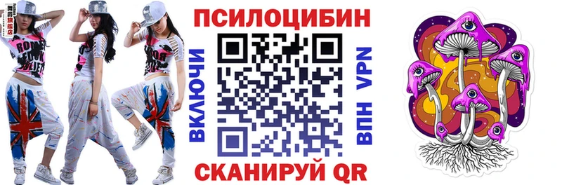 Псилоцибиновые грибы Psilocybine cubensis  Купить закладки  Екатеринбург 
